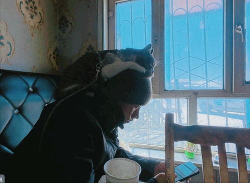 赵朔爆料视频,事件背后惊人真相